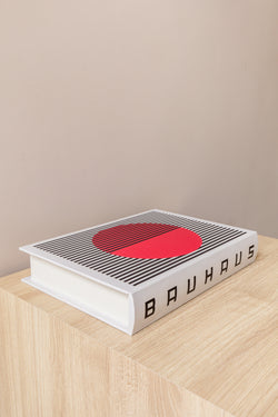 CAIXA LIVRO BAUHAUS GRANDE - Cactos da Maricota